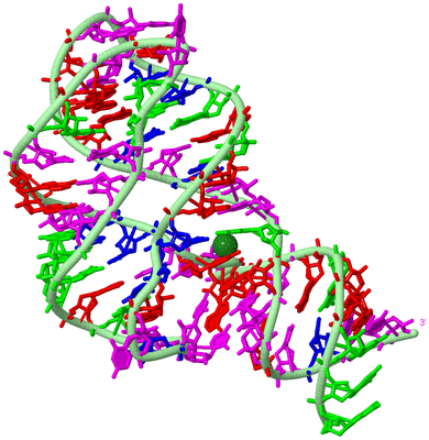 Image Biological Unit 2