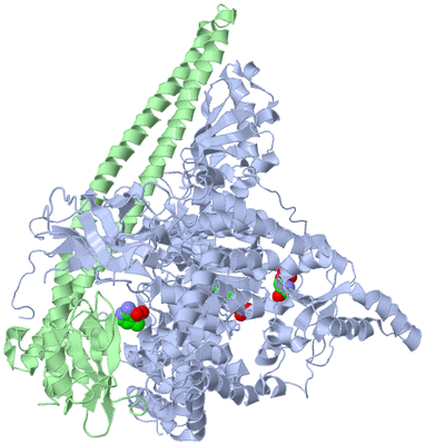 Image Asym./Biol. Unit