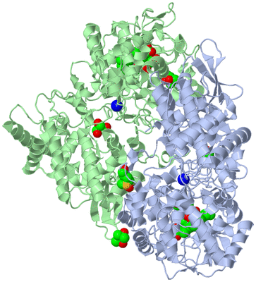 Image Asym./Biol. Unit