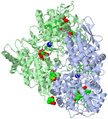 Image Asym./Biol. Unit - sites