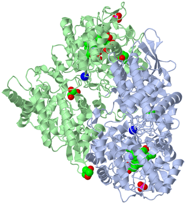 Image Asym./Biol. Unit