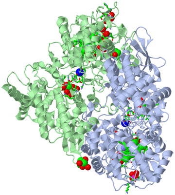 Image Asym./Biol. Unit - sites