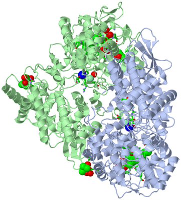 Image Asym./Biol. Unit - sites