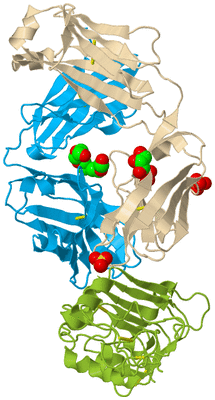 Image Biological Unit 1