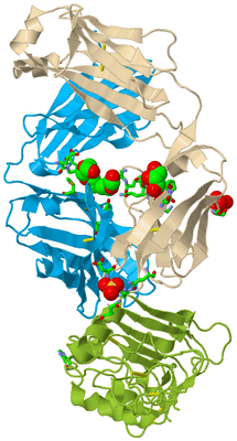 Image Biol. Unit 1 - sites