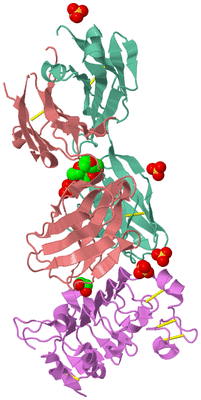 Image Biological Unit 2