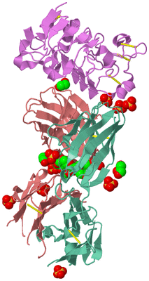 Image Biological Unit 2