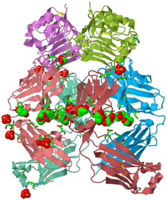 Image Asym. Unit - sites