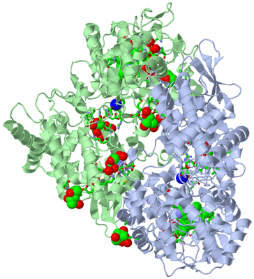 Image Asym./Biol. Unit - sites