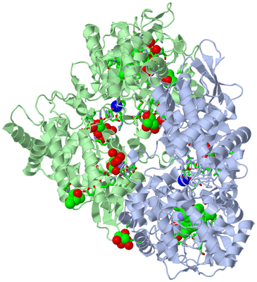 Image Asym./Biol. Unit - sites