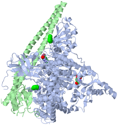 Image Asym./Biol. Unit