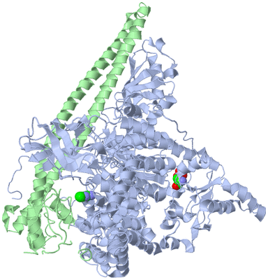 Image Asym./Biol. Unit