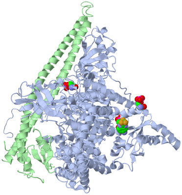 Image Asym./Biol. Unit