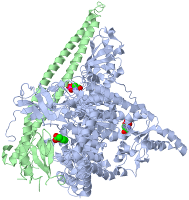 Image Asym./Biol. Unit