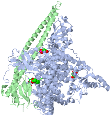 Image Asym./Biol. Unit - sites