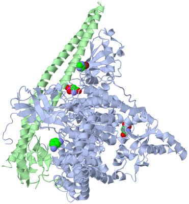 Image Asym./Biol. Unit