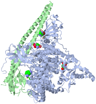 Image Asym./Biol. Unit - sites