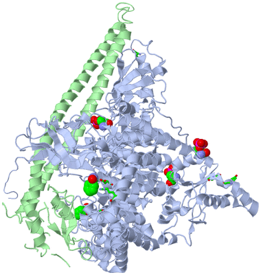 Image Asym./Biol. Unit - sites