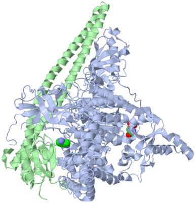 Image Asym./Biol. Unit