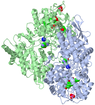 Image Asym./Biol. Unit