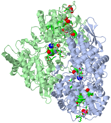 Image Asym./Biol. Unit - sites