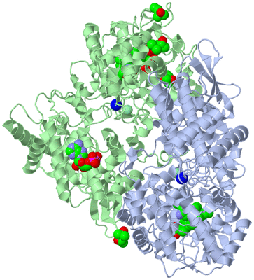 Image Asym./Biol. Unit