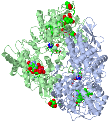 Image Asym./Biol. Unit - sites