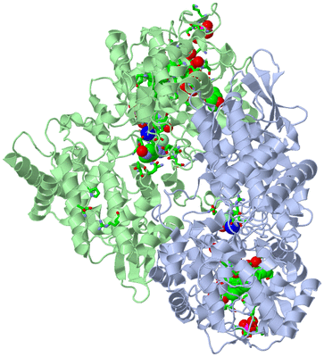 Image Asym./Biol. Unit - sites