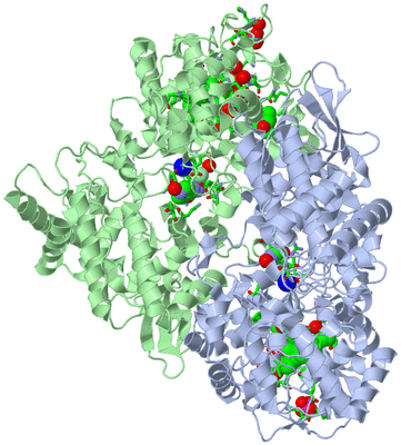 Image Asym./Biol. Unit - sites