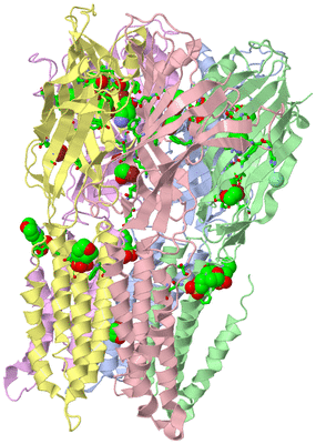 Image Biol. Unit 1 - sites