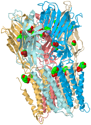 Image Biological Unit 2