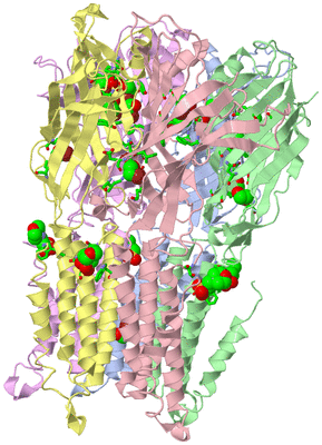 Image Biol. Unit 1 - sites