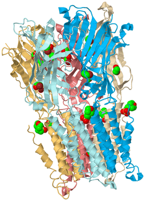 Image Biological Unit 2