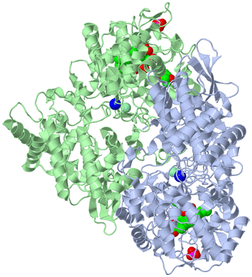 Image Asym./Biol. Unit