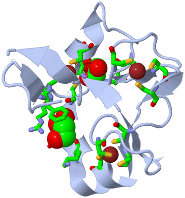 Image Biol. Unit 1 - sites