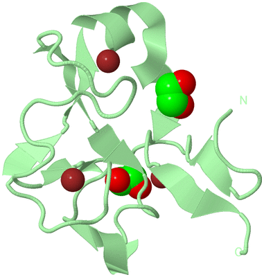 Image Biological Unit 2