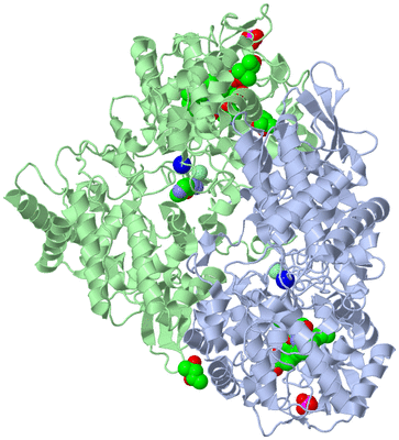 Image Asym./Biol. Unit