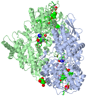 Image Asym./Biol. Unit - sites