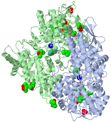 Image Asym./Biol. Unit