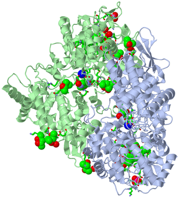 Image Asym./Biol. Unit - sites