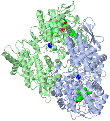 Image Asym./Biol. Unit