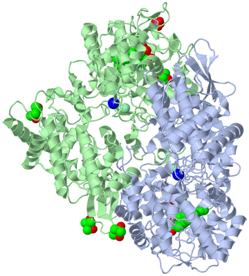 Image Asym./Biol. Unit