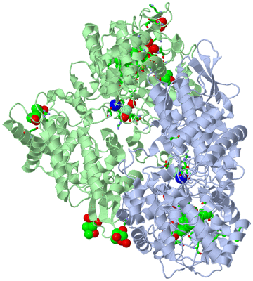 Image Asym./Biol. Unit - sites