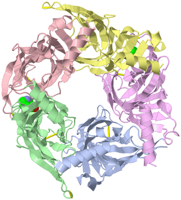 Image Asym./Biol. Unit