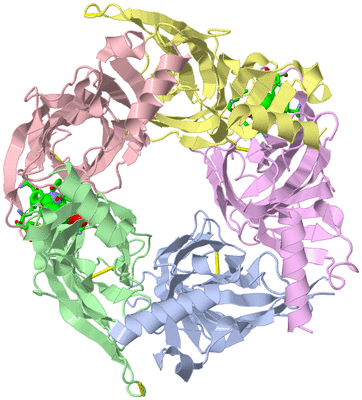 Image Asym./Biol. Unit - sites