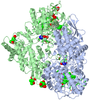 Image Asym./Biol. Unit - sites