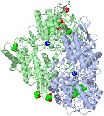 Image Asym./Biol. Unit