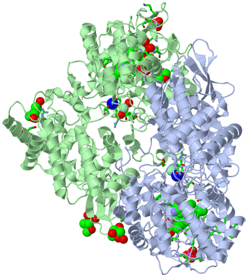 Image Asym./Biol. Unit - sites