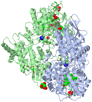 Image Asym./Biol. Unit - sites