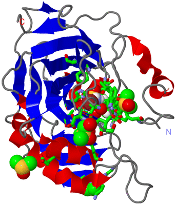 Image Asym./Biol. Unit - sites